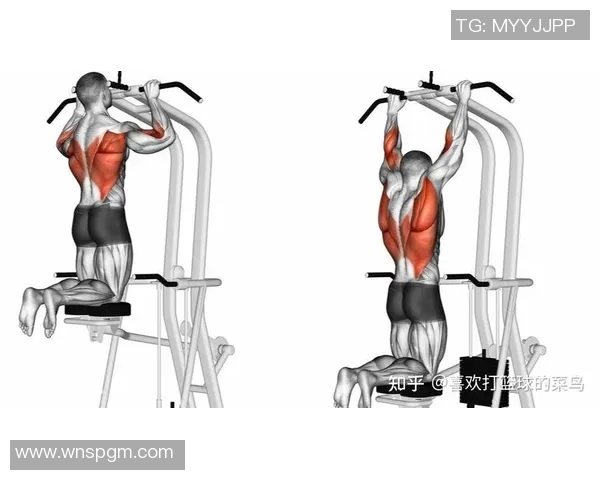 练背部肌肉的健身器材有效推荐与练法技巧
